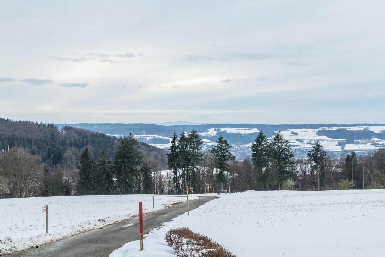 Ferienwohnung Gebhart Ohningen Exteriör bild